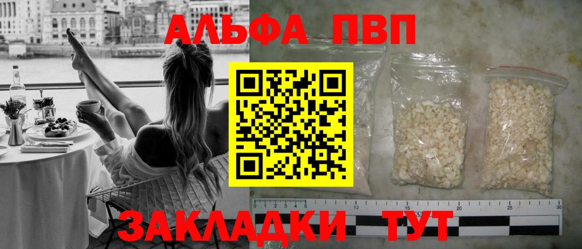 A PVP СК Бердск