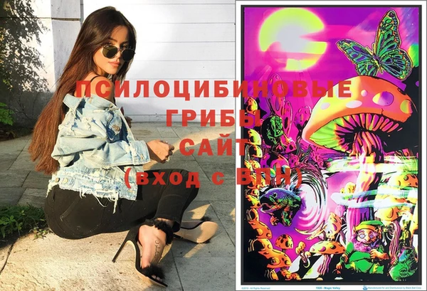 марки nbome Медвежьегорск