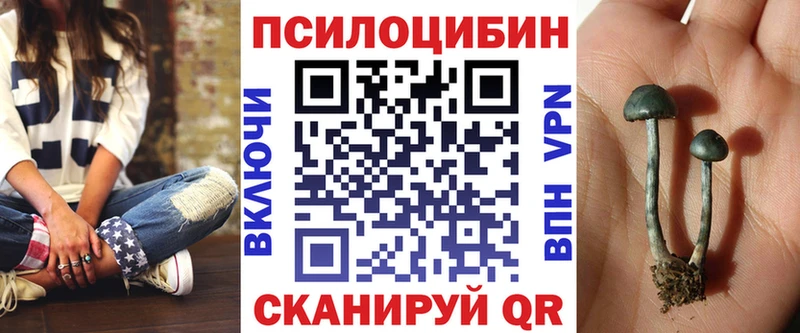 Псилоцибиновые грибы Psilocybe  Бердск 
