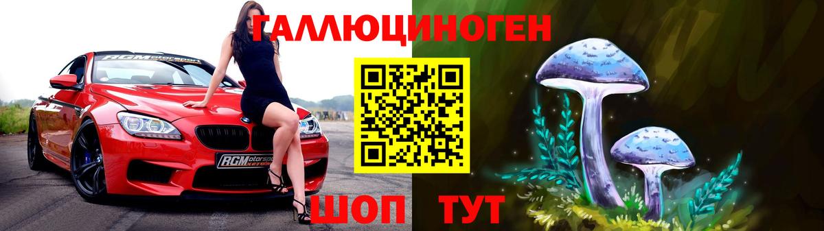 дарнет шоп  Вход с VPN  Бердск  Псилоцибиновые грибы Psilocybine cubensis 