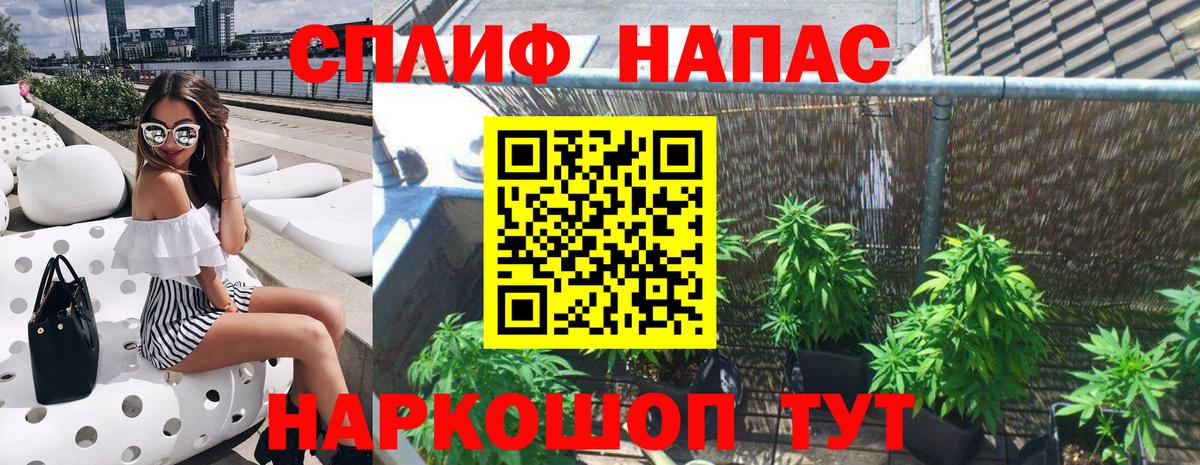 Шишки марихуана семена  Марихуана AK-47  Вход с VPN  Бердск 